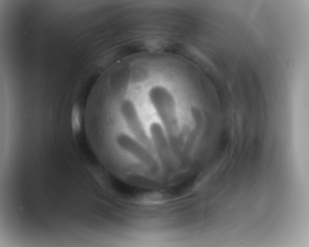 X0000089730075200707051746