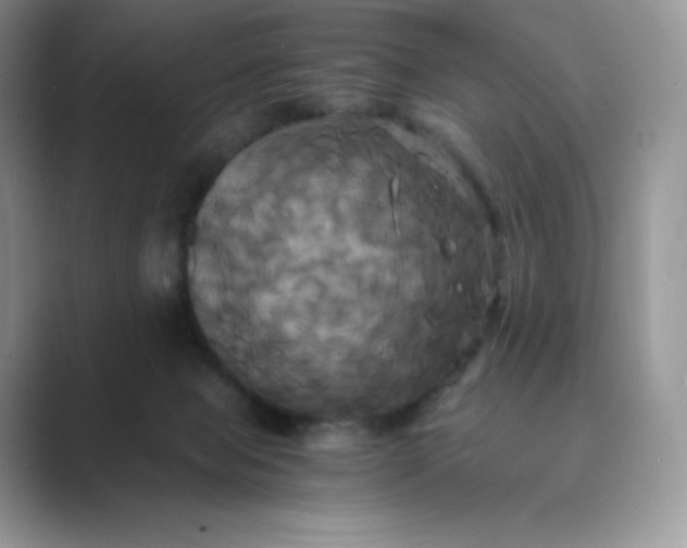 X0000089730077200707051746