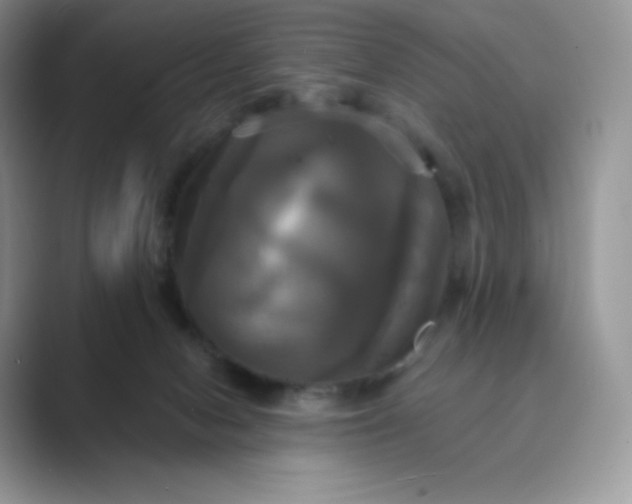 X0000089730078200707051746