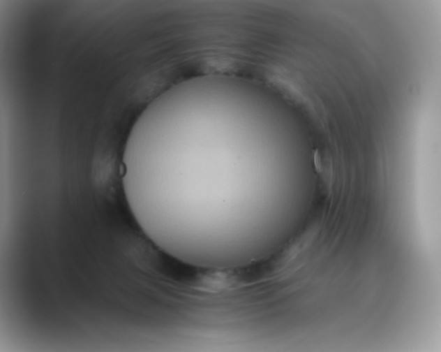 X0000089730079200707051746