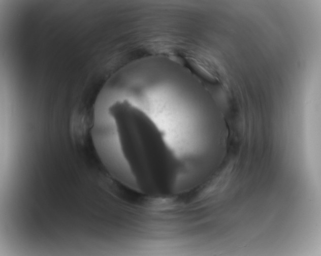 X0000089730081200707051746