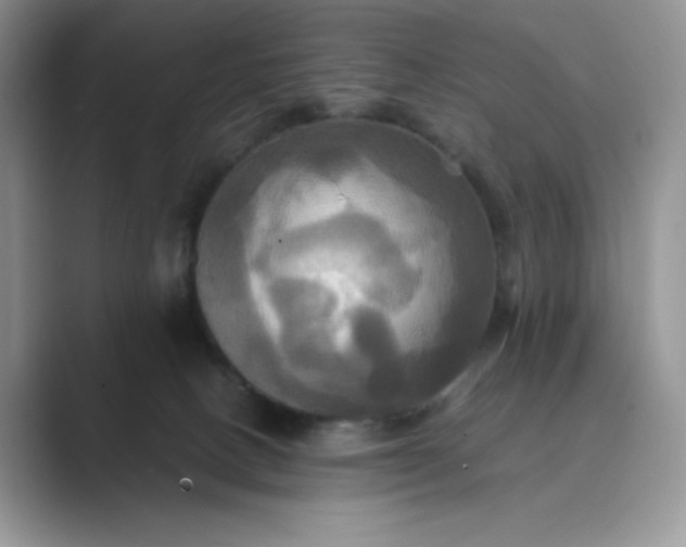 X0000089730082200707051746
