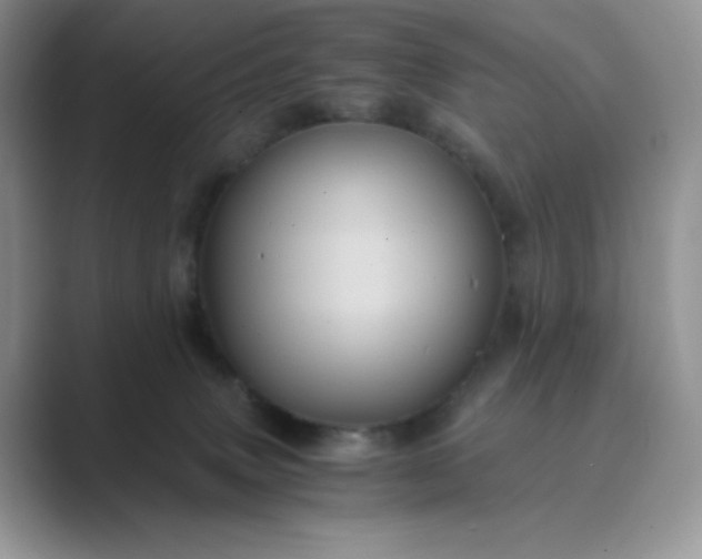 X0000089730083200707051746