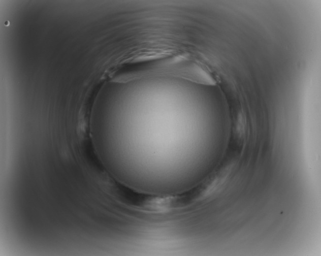 X0000089730084200707051746
