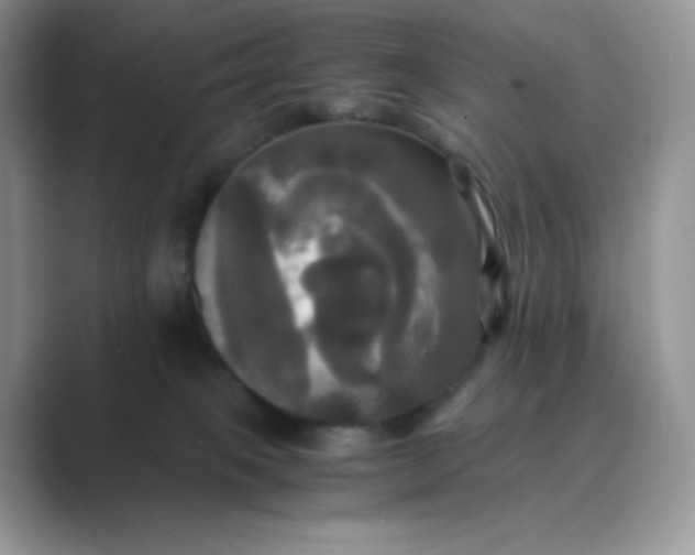 X0000089730085200707051746
