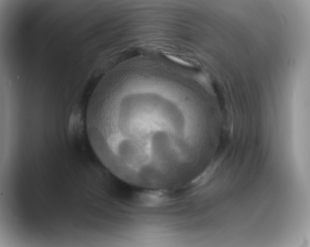 X0000089730086200707051746