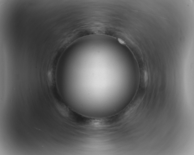 X0000089730088200707051746