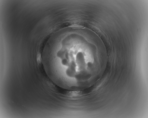 X0000089730089200707051746