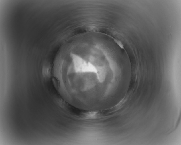 X0000089730090200707051746