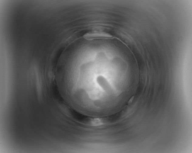 X0000089730091200707051746