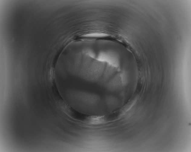 X0000089730093200707051746