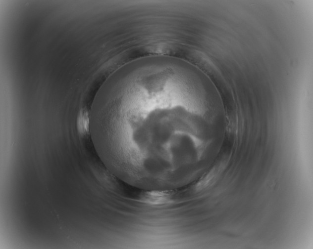 X0000089730095200707051746