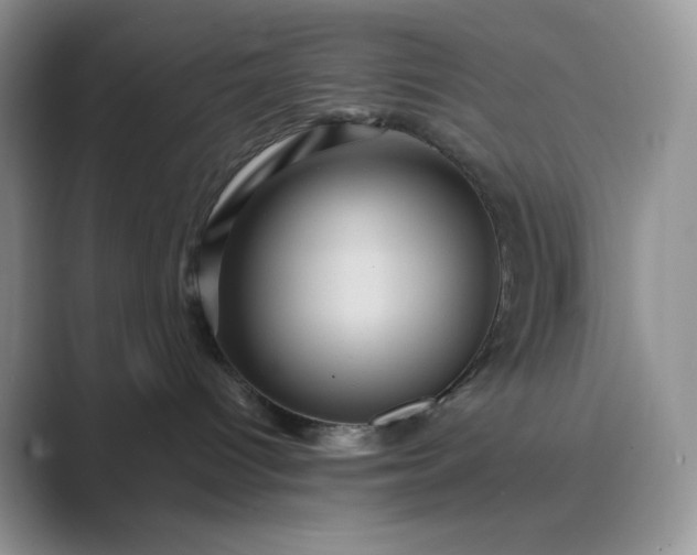 X0000089730096200707051746