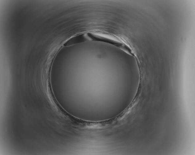 X0000089730097200707051746