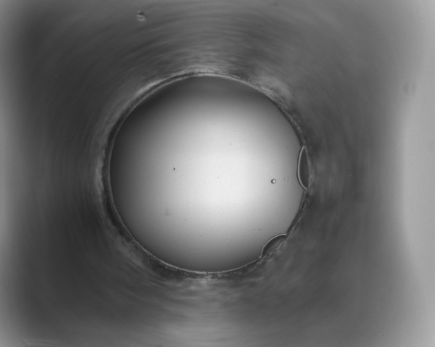 X0000089730098200707051746