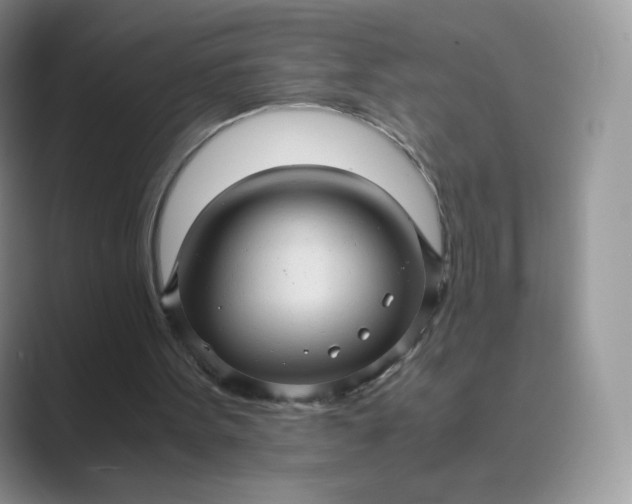 X0000089730099200707051746