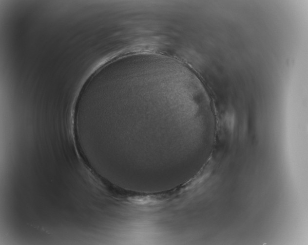 X0000089730100200707051746