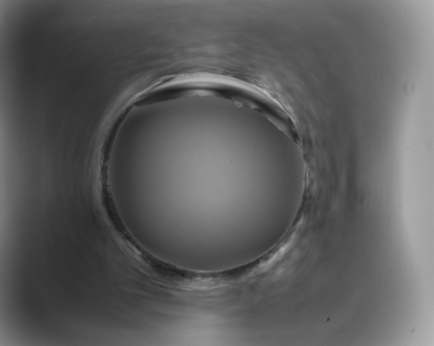 X0000089730101200707051746
