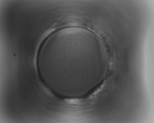 X0000089730104200707051746