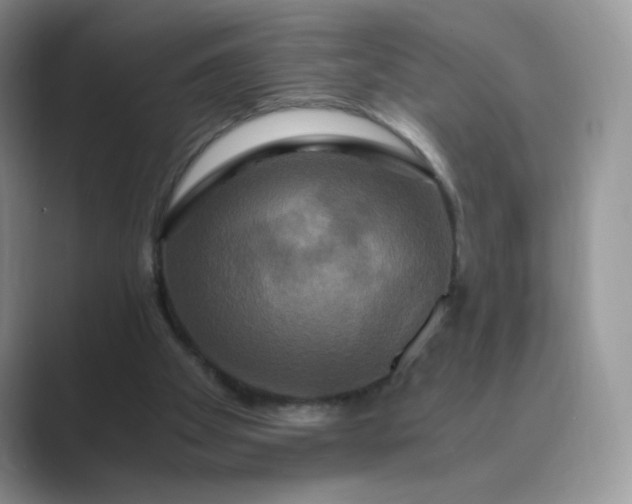 X0000089730105200707051746