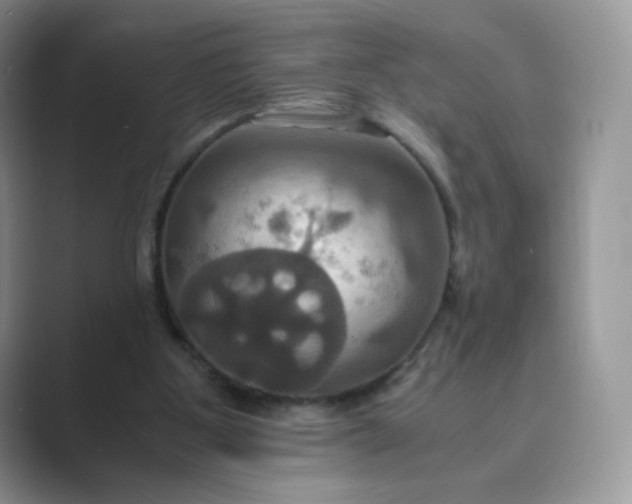 X0000089730107200707051746