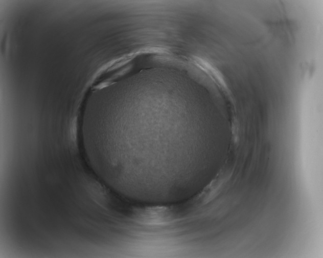 X0000089730108200707051746