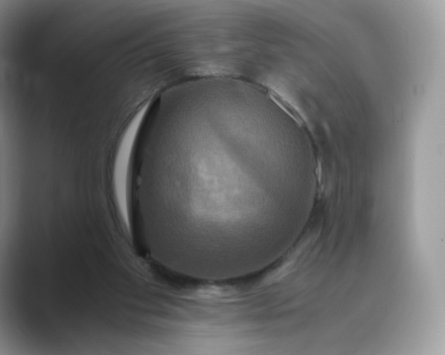 X0000089730109200707051746