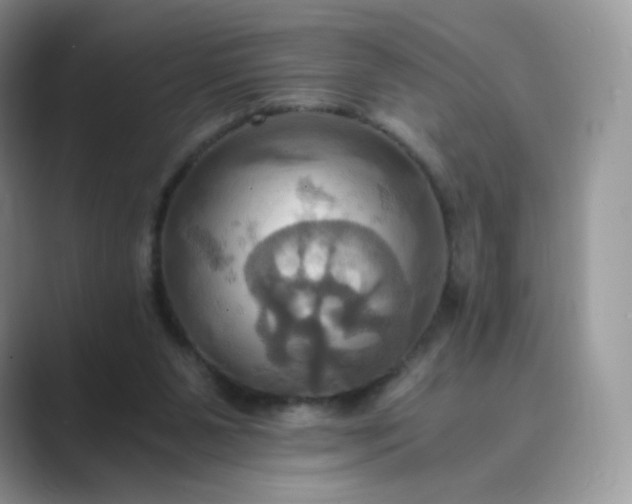 X0000089730111200707051746