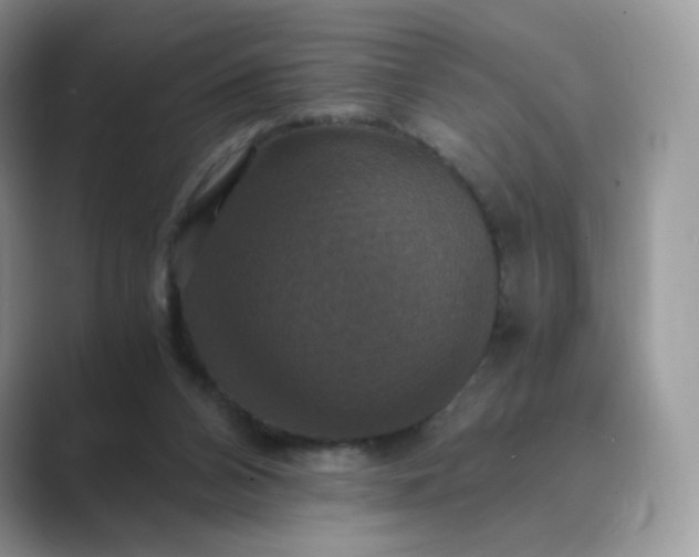 X0000089730112200707051746