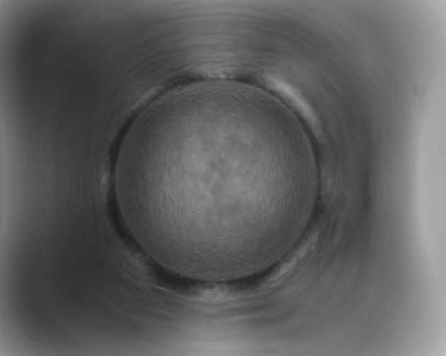 X0000089730113200707051746