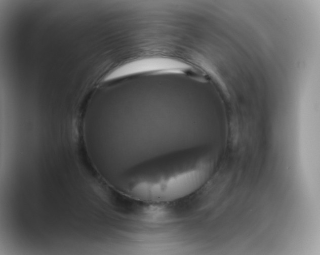X0000089730114200707051746