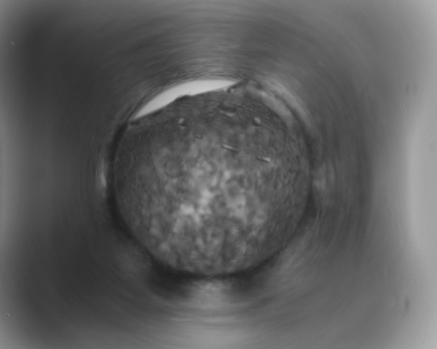 X0000089730115200707051746