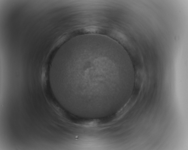 X0000089730116200707051746