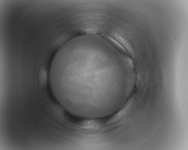 X0000089730117200707051746