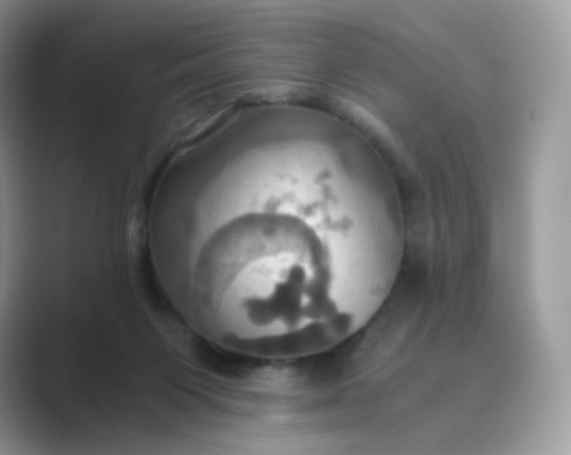 X0000089730119200707051746