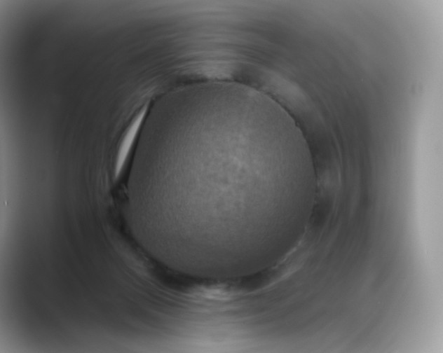 X0000089730120200707051746
