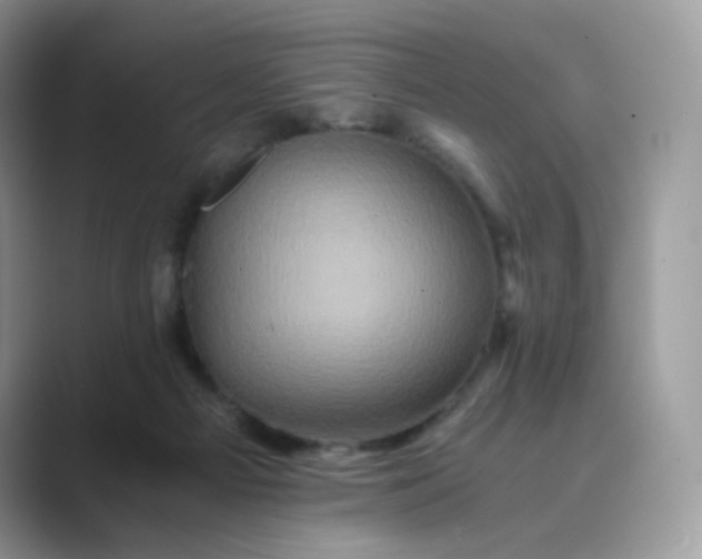 X0000089730121200707051746