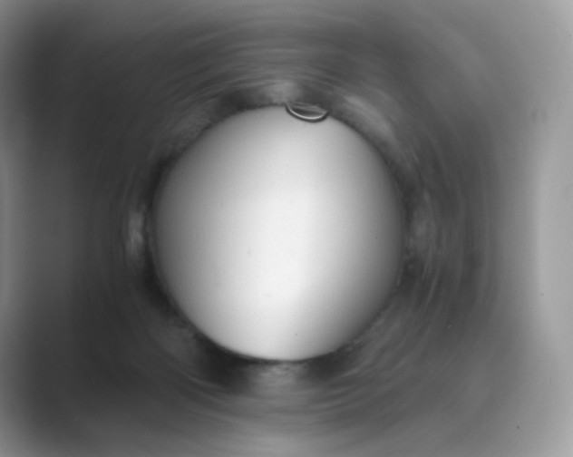 X0000089730122200707051746