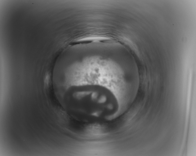 X0000089730123200707051746