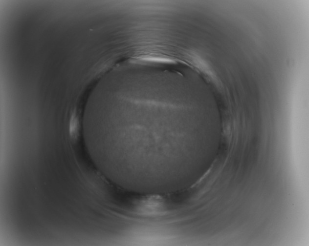 X0000089730124200707051746
