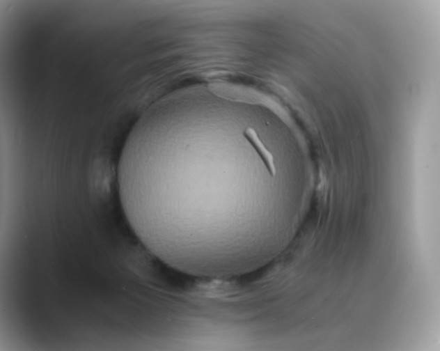 X0000089730125200707051746