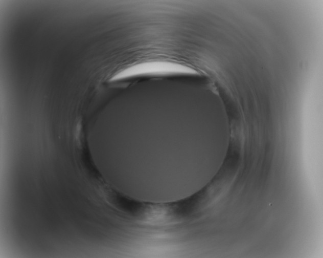 X0000089730127200707051746