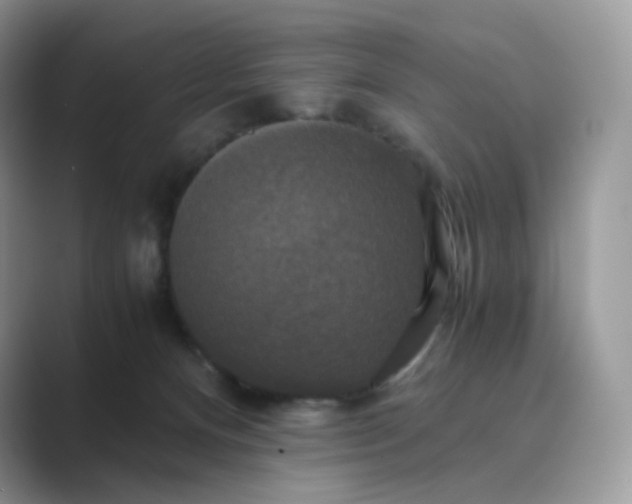 X0000089730128200707051746