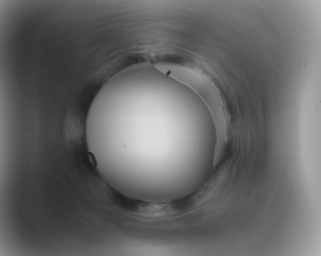 X0000089730129200707051746