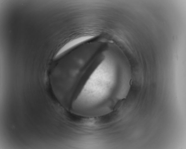 X0000089730131200707051746