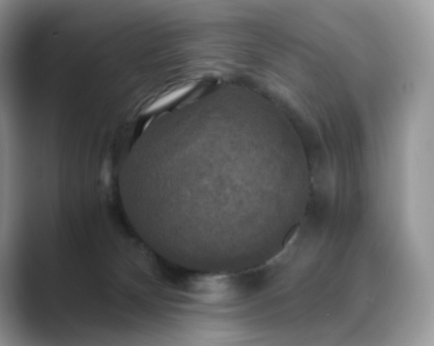 X0000089730132200707051746