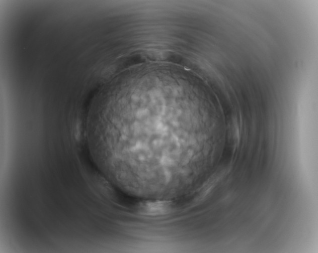 X0000089730134200707051745