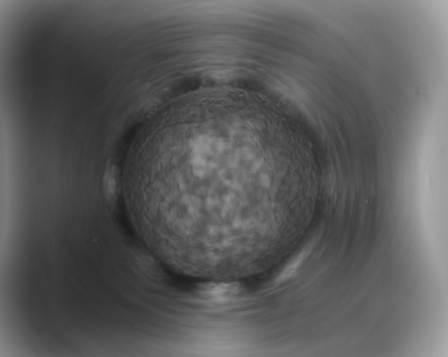 X0000089730135200707051745