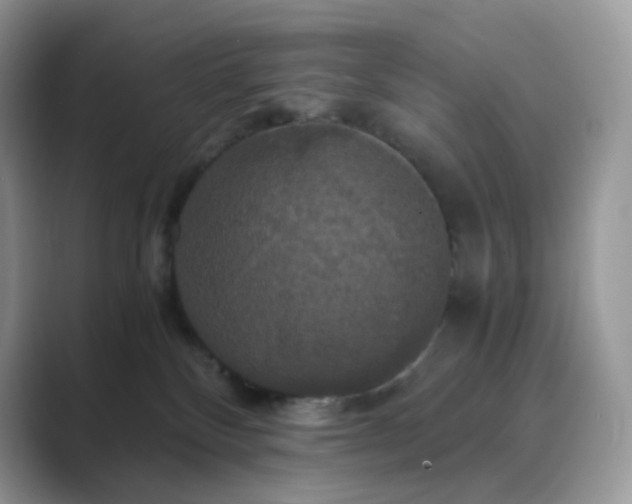 X0000089730136200707051745