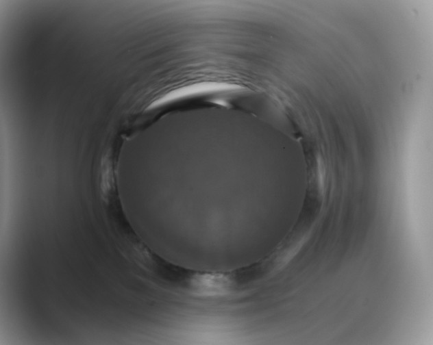 X0000089730137200707051745